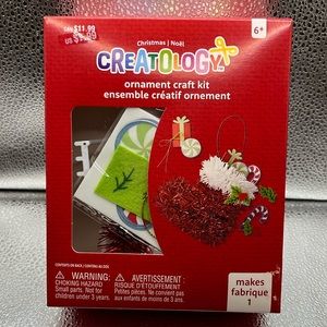 Creatology ornament craft kit